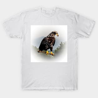 Eagle T-Shirt